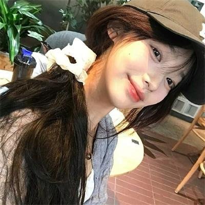 鱼与猫