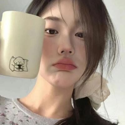 哈兰·科本的庇护所